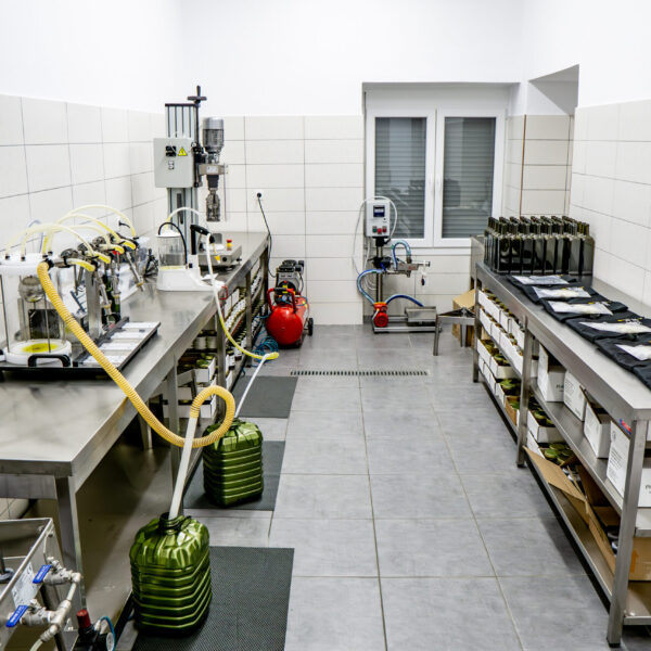 DSC09695-Enhanced-NR DSC09695-Enhanced-NR