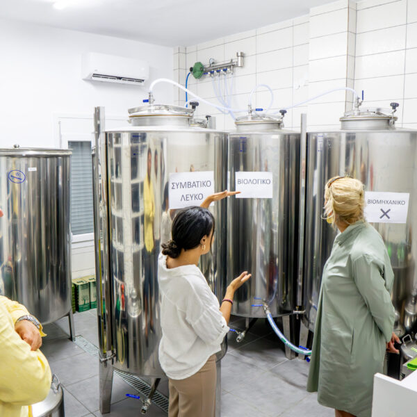 DSC09703-Enhanced-NR DSC09703-Enhanced-NR