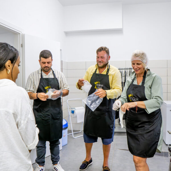 DSC09716-Enhanced-NR DSC09716-Enhanced-NR