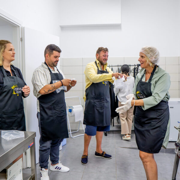 DSC09717-Enhanced-NR DSC09717-Enhanced-NR