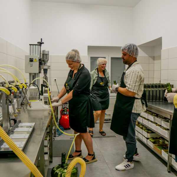 DSC09740-Enhanced-NR DSC09740-Enhanced-NR